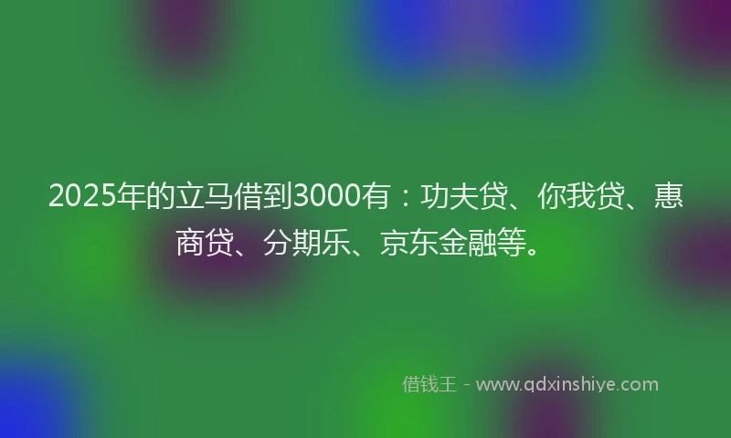 2025年的立马借到3000有：功夫贷、你我贷、惠商贷、分期乐、京东金融等。