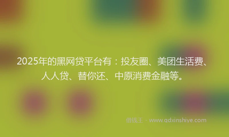 2025年的黑网贷平台有：投友圈、美团生活费、人人贷、替你还、中原消费金融等。