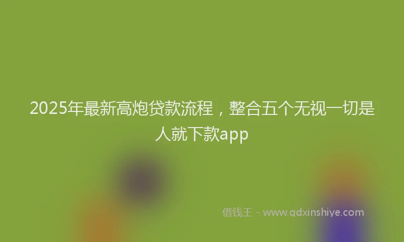 2025年最新高炮贷款流程，整合五个无视一切是人就下款app