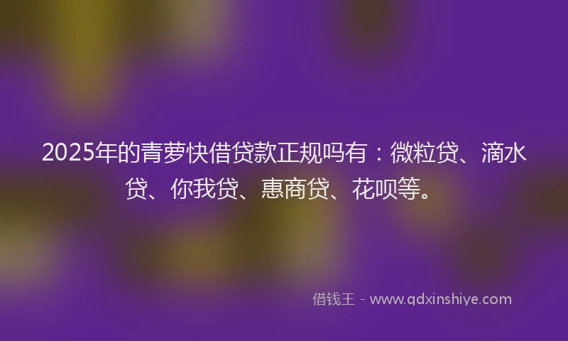 2025年的青萝快借贷款正规吗有：微粒贷、滴水贷、你我贷、惠商贷、花呗等。