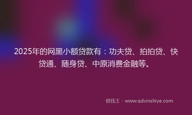 2025年的网黑小额贷款有：功夫贷、拍拍贷、快贷通、随身贷、中原消费金融等。