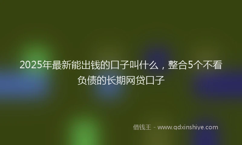 2025年最新能出钱的口子叫什么，整合5个不看负债的长期网贷口子