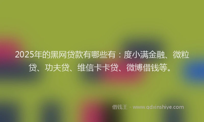 2025年的黑网贷款有哪些有：度小满金融、微粒贷、功夫贷、维信卡卡贷、微博借钱等。