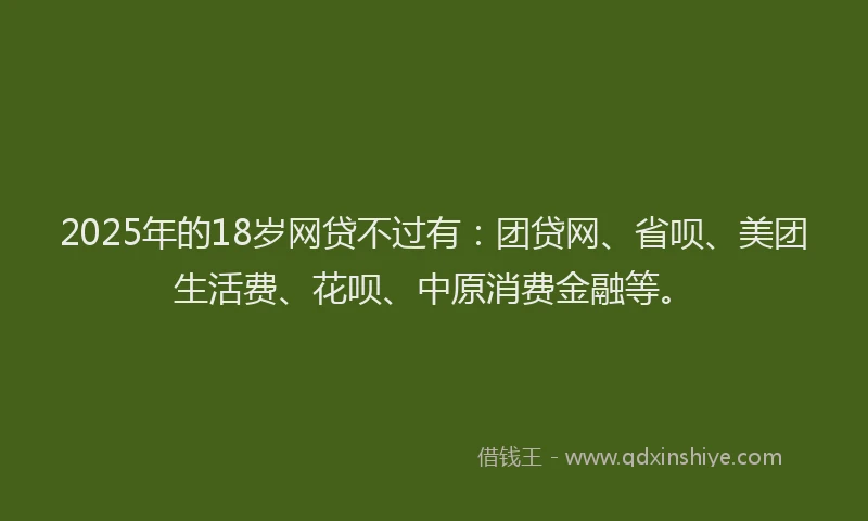 2025年的18岁网贷不过有：团贷网、省呗、美团生活费、花呗、中原消费金融等。