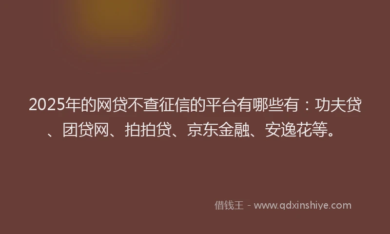 2025年的网贷不查征信的平台有哪些有：功夫贷、团贷网、拍拍贷、京东金融、安逸花等。