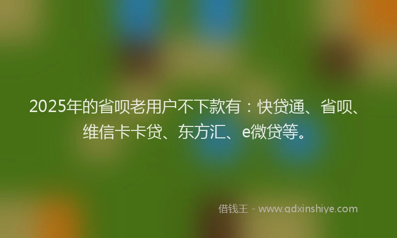 2025年的省呗老用户不下款有：快贷通、省呗、维信卡卡贷、东方汇、e微贷等。