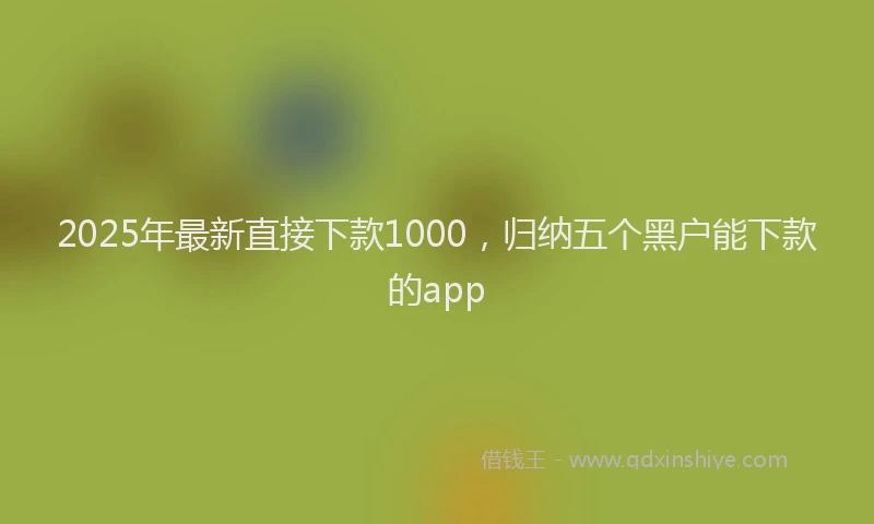 2025年最新直接下款1000，归纳五个黑户能下款的app