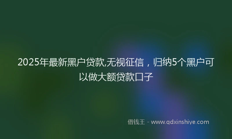 2025年最新黑户贷款,无视征信，归纳5个黑户可以做大额贷款口子