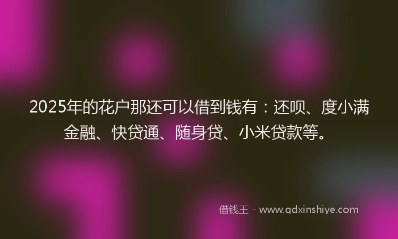 2025年的花户那还可以借到钱有：还呗、度小满金融、快贷通、随身贷、小米贷款等。