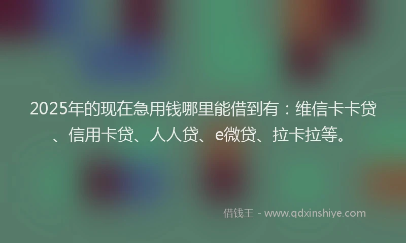 2025年的现在急用钱哪里能借到有：维信卡卡贷、信用卡贷、人人贷、e微贷、拉卡拉等。