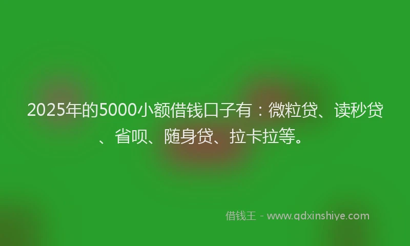 2025年的5000小额借钱口子有：微粒贷、读秒贷、省呗、随身贷、拉卡拉等。