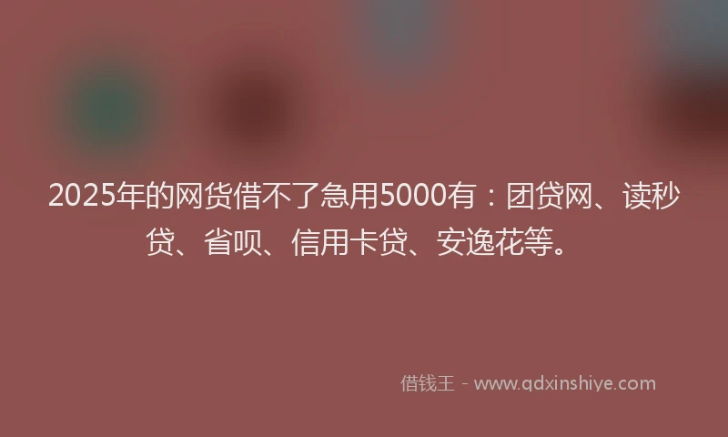 2025年的网货借不了急用5000有：团贷网、读秒贷、省呗、信用卡贷、安逸花等。