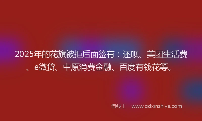 2025年的花旗被拒后面签有：还呗、美团生活费、e微贷、中原消费金融、百度有钱花等。