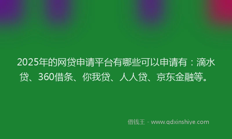 2025年的网贷申请平台有哪些可以申请有：滴水贷、360借条、你我贷、人人贷、京东金融等。