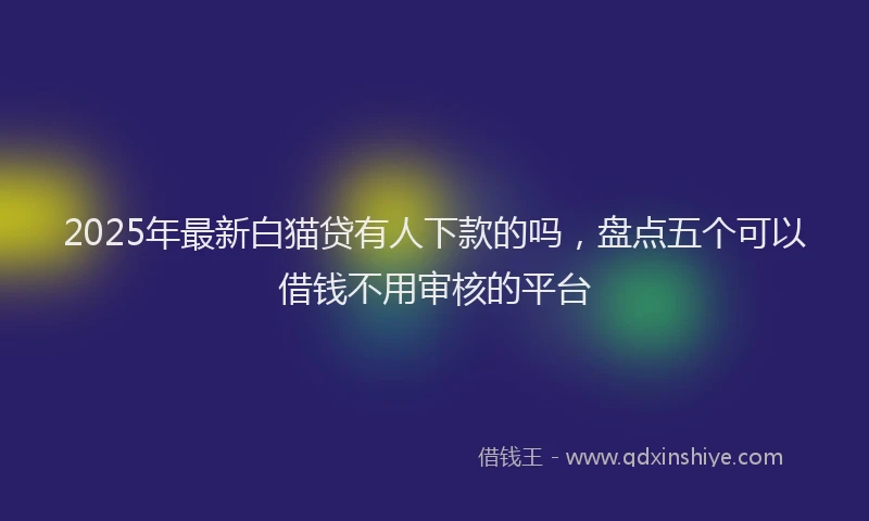 2025年最新白猫贷有人下款的吗，盘点五个可以借钱不用审核的平台