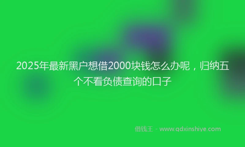 2025年最新黑户想借2000块钱怎么办呢，归纳五个不看负债查询的口子