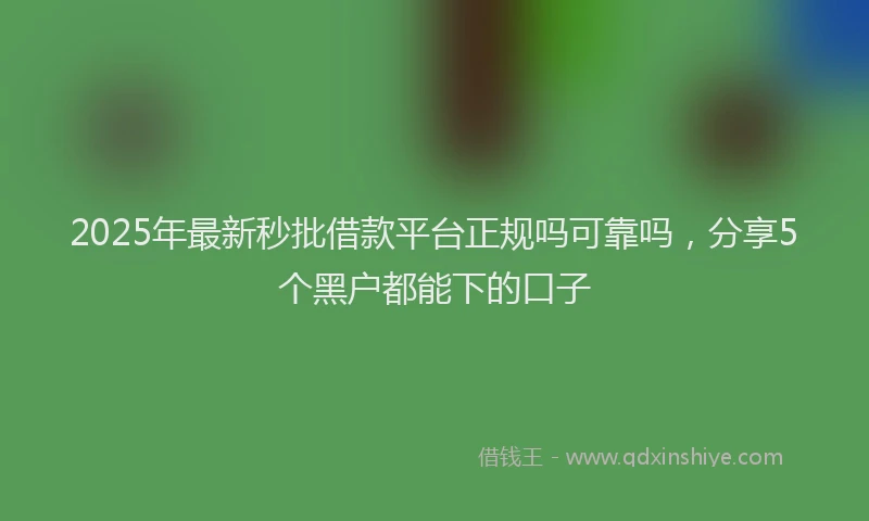 2025年最新秒批借款平台正规吗可靠吗，分享5个黑户都能下的口子
