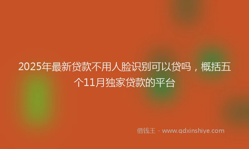 2025年最新贷款不用人脸识别可以贷吗，概括五个11月独家贷款的平台