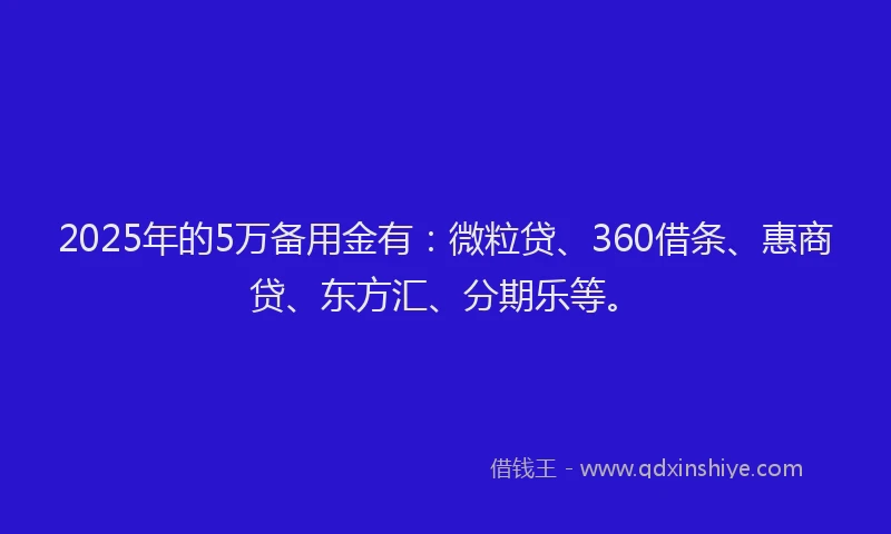 2025年的5万备用金有：微粒贷、360借条、惠商贷、东方汇、分期乐等。