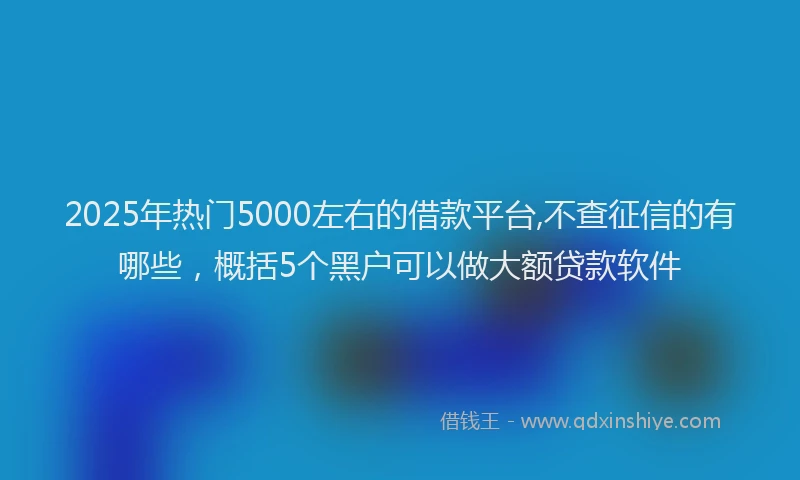 2025年热门5000左右的借款平台,不查征信的有哪些，概括5个黑户可以做大额贷款软件