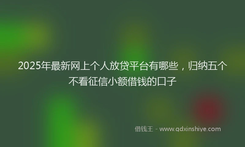 2025年最新网上个人放贷平台有哪些，归纳五个不看征信小额借钱的口子