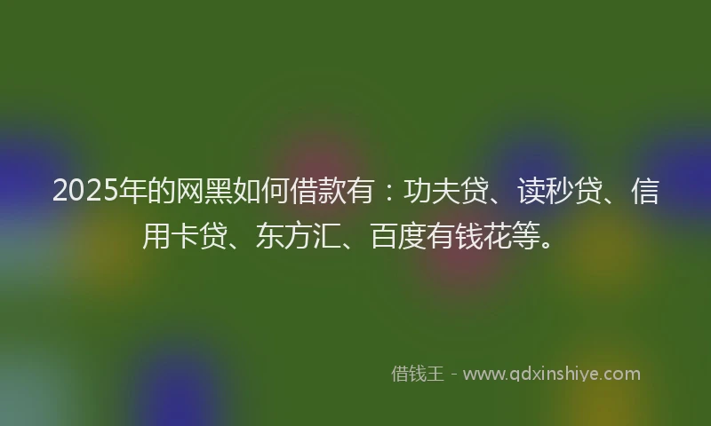 2025年的网黑如何借款有：功夫贷、读秒贷、信用卡贷、东方汇、百度有钱花等。