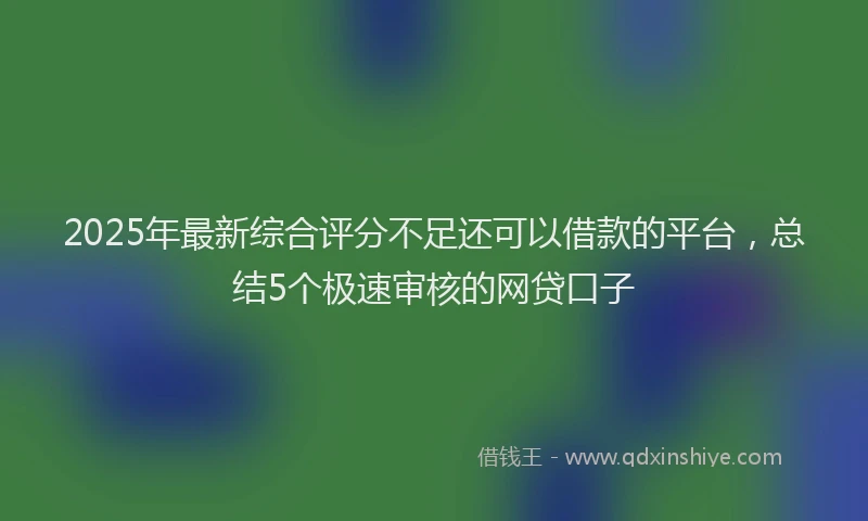 2025年最新综合评分不足还可以借款的平台，总结5个极速审核的网贷口子
