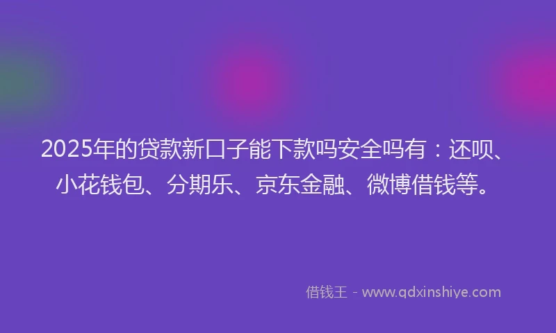 2025年的贷款新口子能下款吗安全吗有：还呗、小花钱包、分期乐、京东金融、微博借钱等。