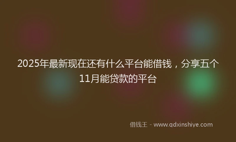 2025年最新现在还有什么平台能借钱，分享五个11月能贷款的平台