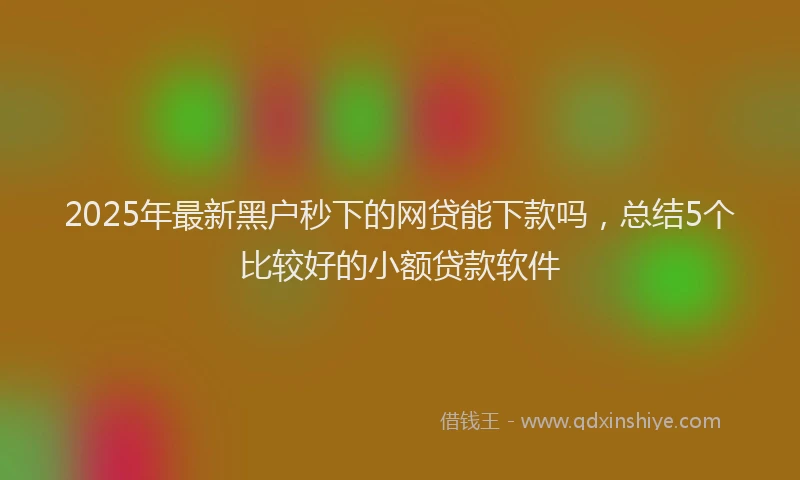 2025年最新黑户秒下的网贷能下款吗，总结5个比较好的小额贷款软件