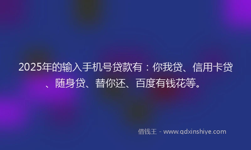 2025年的输入手机号贷款有：你我贷、信用卡贷、随身贷、替你还、百度有钱花等。