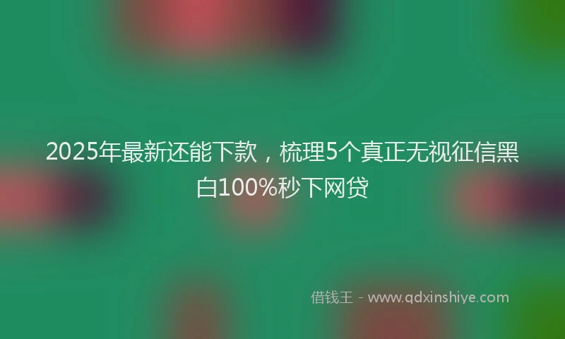 2025年最新还能下款，梳理5个真正无视征信黑白100%秒下网贷