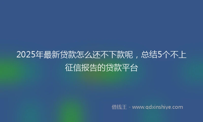 2025年最新贷款怎么还不下款呢，总结5个不上征信报告的贷款平台