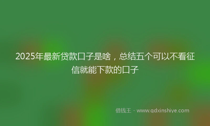 2025年最新贷款口子是啥，总结五个可以不看征信就能下款的口子