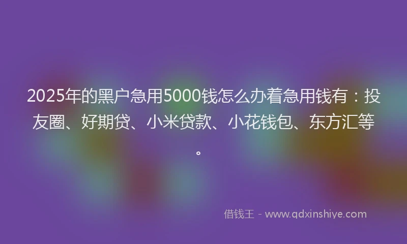 2025年的黑户急用5000钱怎么办着急用钱有：投友圈、好期贷、小米贷款、小花钱包、东方汇等。