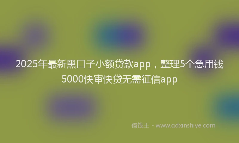 2025年最新黑口子小额贷款app，整理5个急用钱5000快审快贷无需征信app