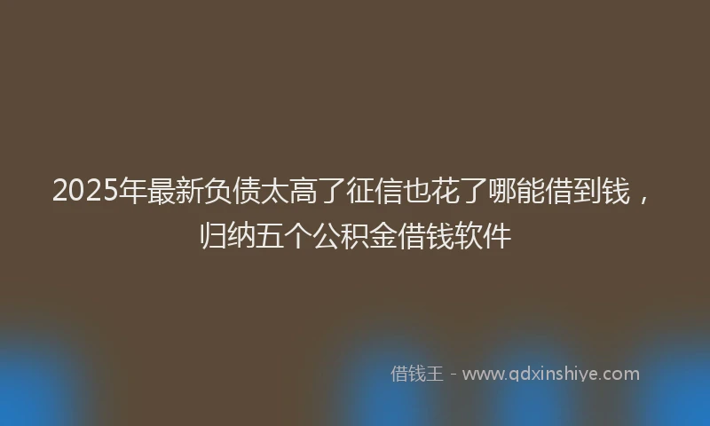 2025年最新负债太高了征信也花了哪能借到钱，归纳五个公积金借钱软件