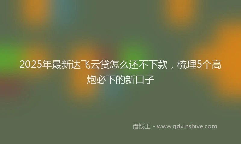 2025年最新达飞云贷怎么还不下款，梳理5个高炮必下的新口子