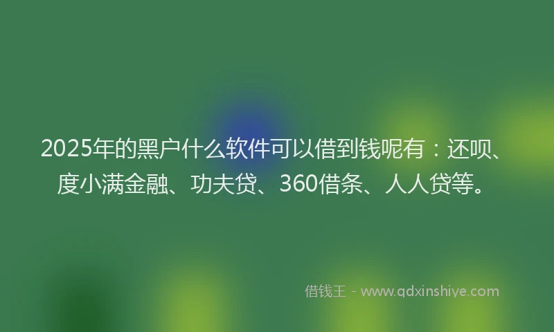 2025年的黑户什么软件可以借到钱呢有：还呗、度小满金融、功夫贷、360借条、人人贷等。