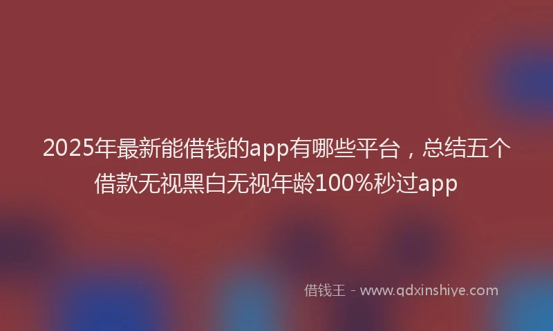 2025年最新能借钱的app有哪些平台，总结五个借款无视黑白无视年龄100%秒过app