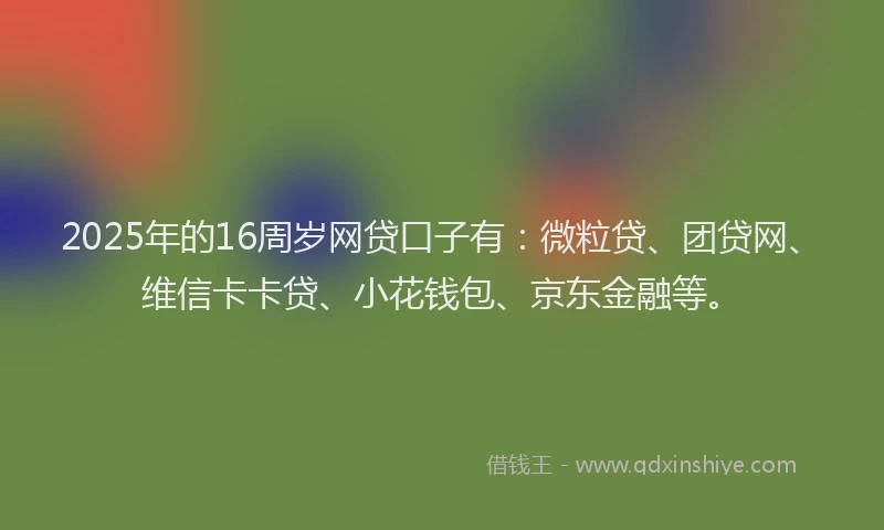 2025年的16周岁网贷口子有：微粒贷、团贷网、维信卡卡贷、小花钱包、京东金融等。