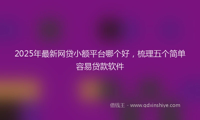 2025年最新网贷小额平台哪个好，梳理五个简单容易贷款软件