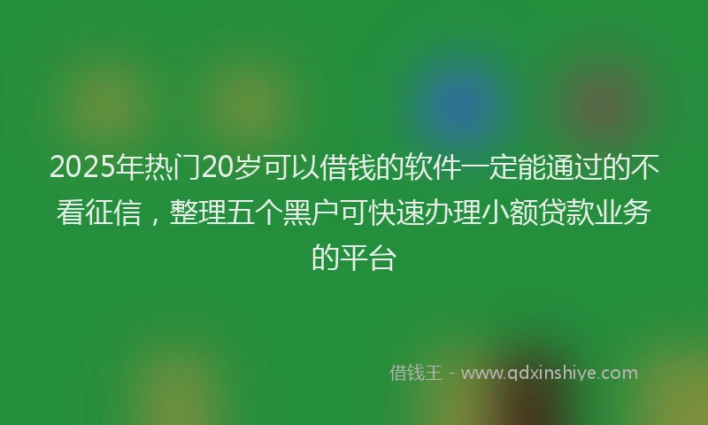 2025年热门20岁可以借钱的软件一定能通过的不看征信，整理五个黑户可快速办理小额贷款业务的平台