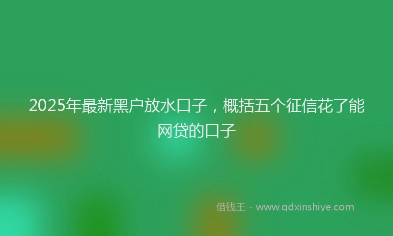2025年最新黑户放水口子，概括五个征信花了能网贷的口子