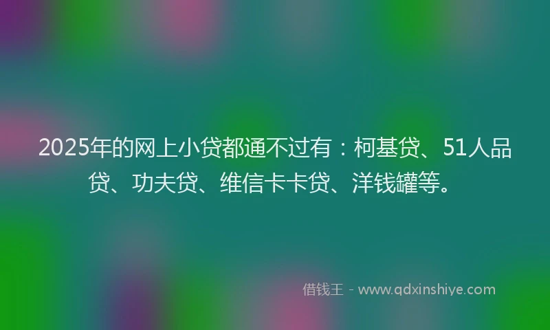 2025年的网上小贷都通不过有：柯基贷、51人品贷、功夫贷、维信卡卡贷、洋钱罐等。
