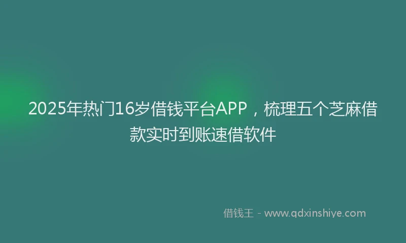 2025年热门16岁借钱平台APP，梳理五个芝麻借款实时到账速借软件