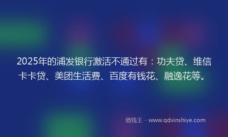 2025年的浦发银行激活不通过有：功夫贷、维信卡卡贷、美团生活费、百度有钱花、融逸花等。