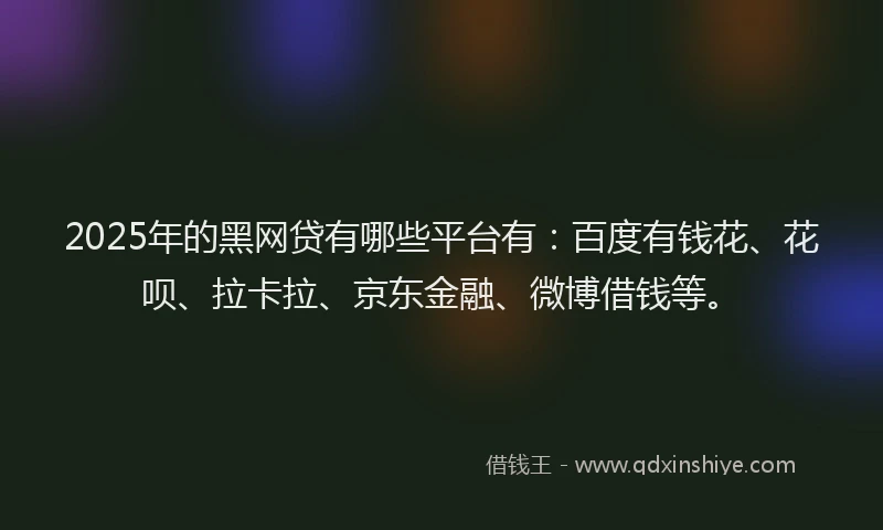 2025年的黑网贷有哪些平台有：百度有钱花、花呗、拉卡拉、京东金融、微博借钱等。