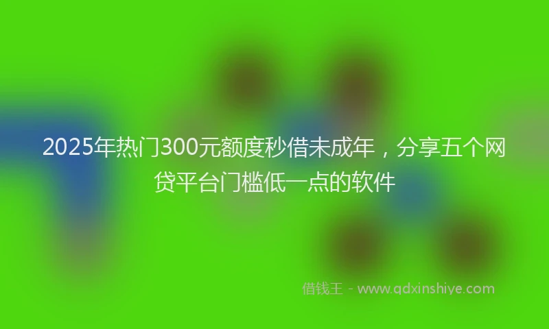 2025年热门300元额度秒借未成年，分享五个网贷平台门槛低一点的软件