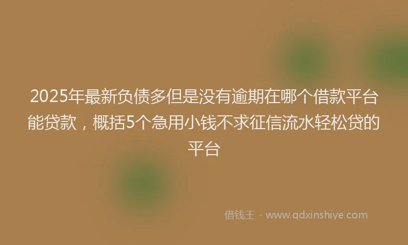 2025年最新负债多但是没有逾期在哪个借款平台能贷款，概括5个急用小钱不求征信流水轻松贷的平台